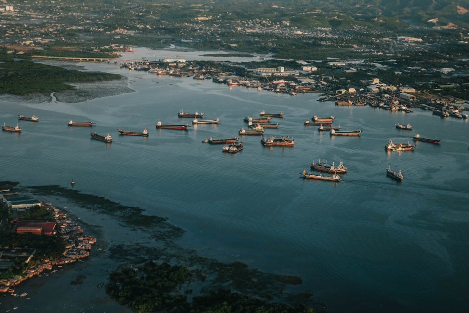 A striking aerial capture of numerous ships in a busy harbor under daylight, showcasing maritime activity.